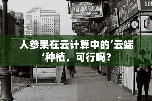 人参果在云计算中的‘云端’种植，可行吗？