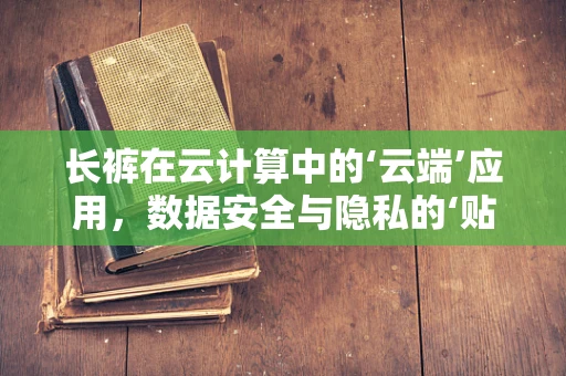 长裤在云计算中的‘云端’应用，数据安全与隐私的‘贴身’守护者