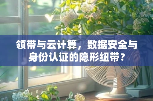 领带与云计算，数据安全与身份认证的隐形纽带？