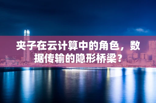 夹子在云计算中的角色，数据传输的隐形桥梁？