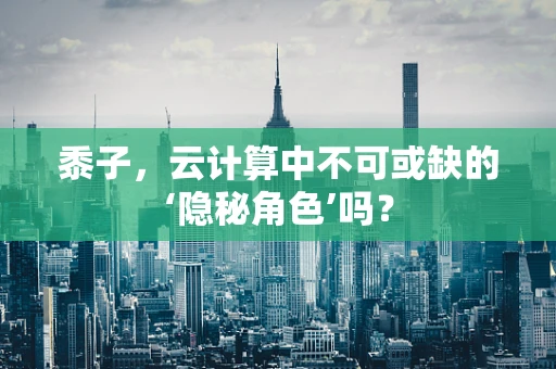 黍子，云计算中不可或缺的‘隐秘角色’吗？