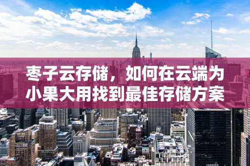 枣子云存储，如何在云端为小果大用找到最佳存储方案？