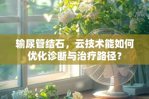 输尿管结石，云技术能如何优化诊断与治疗路径？