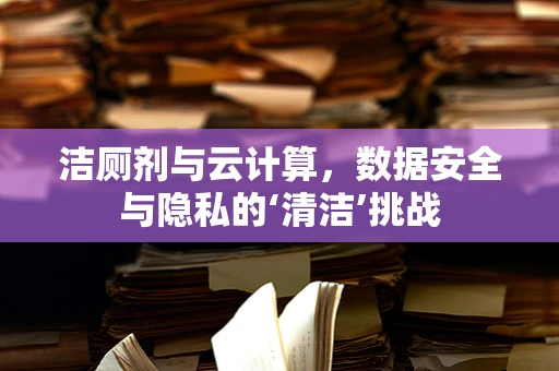 洁厕剂与云计算，数据安全与隐私的‘清洁’挑战