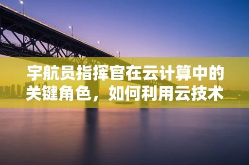 宇航员指挥官在云计算中的关键角色，如何利用云技术优化太空任务管理？