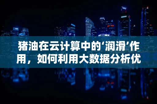 猪油在云计算中的‘润滑’作用，如何利用大数据分析优化存储与传输？