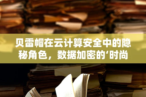 贝雷帽在云计算安全中的隐秘角色，数据加密的‘时尚’守护者？