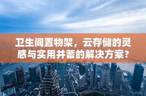 卫生间置物架，云存储的灵感与实用并蓄的解决方案？