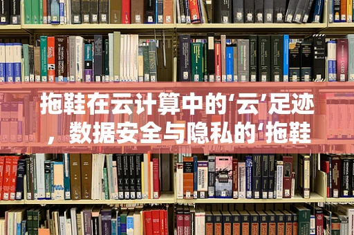 拖鞋在云计算中的‘云’足迹，数据安全与隐私的‘拖鞋’效应