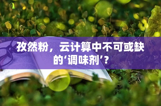 孜然粉，云计算中不可或缺的‘调味剂’？