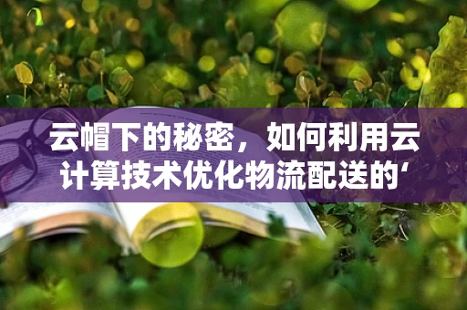 云帽下的秘密，如何利用云计算技术优化物流配送的‘最后一公里’？