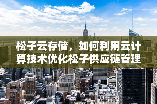 松子云存储，如何利用云计算技术优化松子供应链管理？