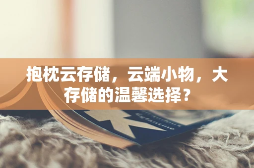 抱枕云存储，云端小物，大存储的温馨选择？