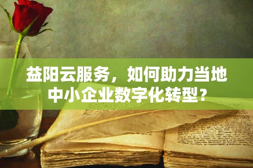 益阳云服务，如何助力当地中小企业数字化转型？