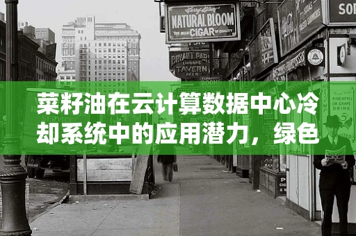 菜籽油在云计算数据中心冷却系统中的应用潜力，绿色节能的未来之路？