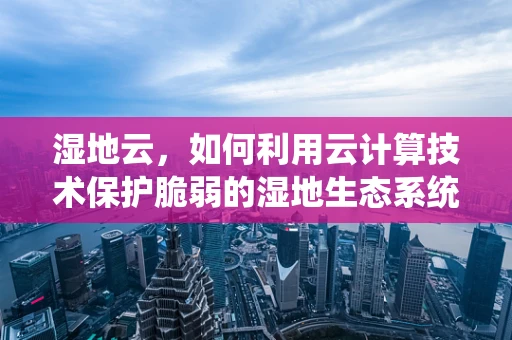 湿地云，如何利用云计算技术保护脆弱的湿地生态系统？