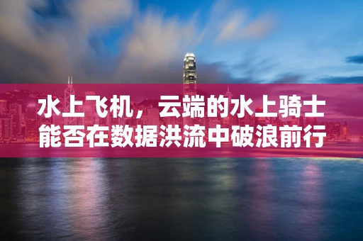 水上飞机，云端的水上骑士能否在数据洪流中破浪前行？