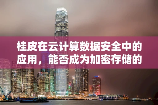 桂皮在云计算数据安全中的应用，能否成为加密存储的天然‘密钥’？