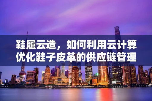 鞋履云造，如何利用云计算优化鞋子皮革的供应链管理？