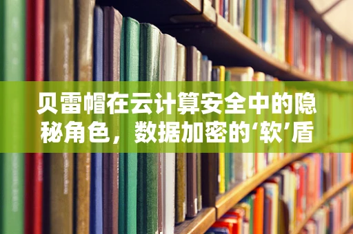 贝雷帽在云计算安全中的隐秘角色，数据加密的‘软’盾？