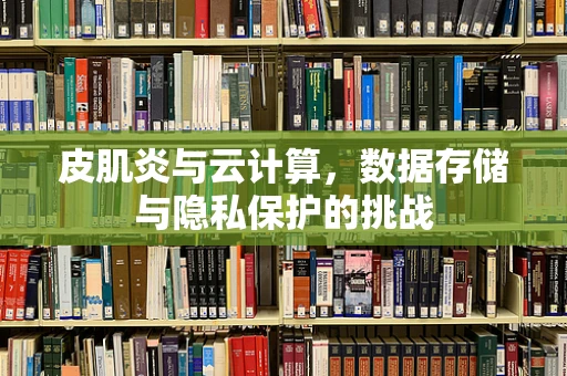 皮肌炎与云计算，数据存储与隐私保护的挑战