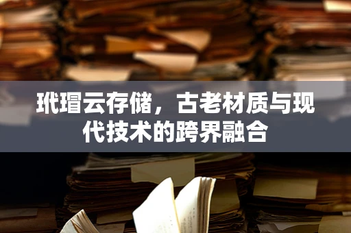 玳瑁云存储，古老材质与现代技术的跨界融合