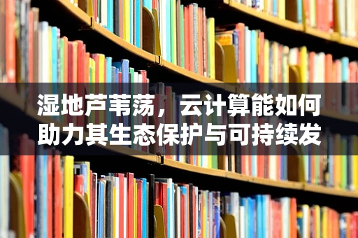 湿地芦苇荡，云计算能如何助力其生态保护与可持续发展？