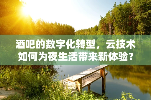 酒吧的数字化转型，云技术如何为夜生活带来新体验？