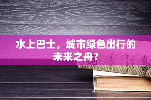 水上巴士，城市绿色出行的未来之舟？