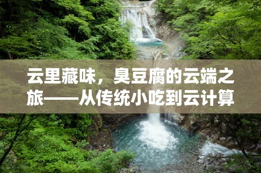 云里藏味，臭豆腐的云端之旅——从传统小吃到云计算的数字化变身？