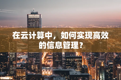 在云计算中，如何实现高效的信息管理？