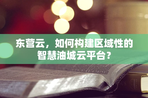 东营云，如何构建区域性的智慧油城云平台？