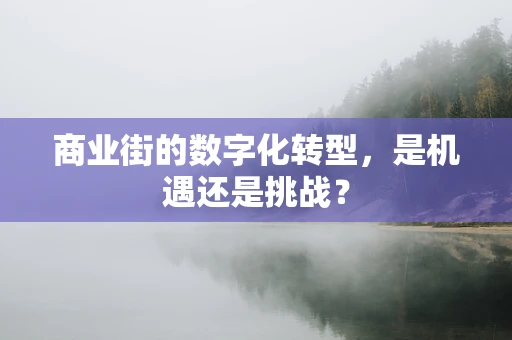 商业街的数字化转型，是机遇还是挑战？