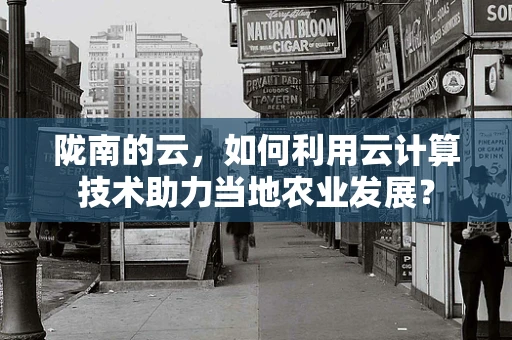 陇南的云，如何利用云计算技术助力当地农业发展？