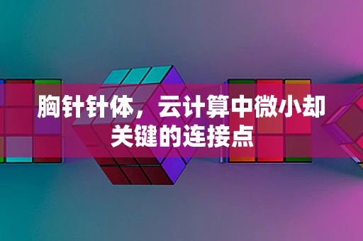 胸针针体，云计算中微小却关键的连接点