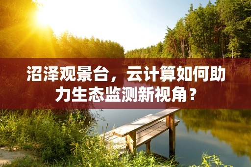 沼泽观景台，云计算如何助力生态监测新视角？