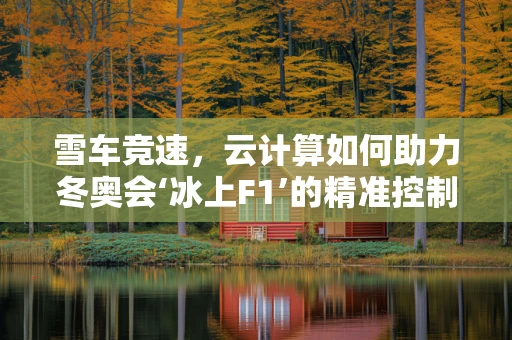 雪车竞速，云计算如何助力冬奥会‘冰上F1’的精准控制与安全保障？