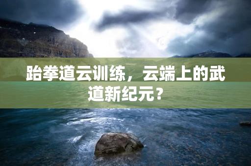 跆拳道云训练，云端上的武道新纪元？