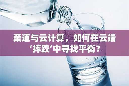 柔道与云计算，如何在云端‘摔跤’中寻找平衡？