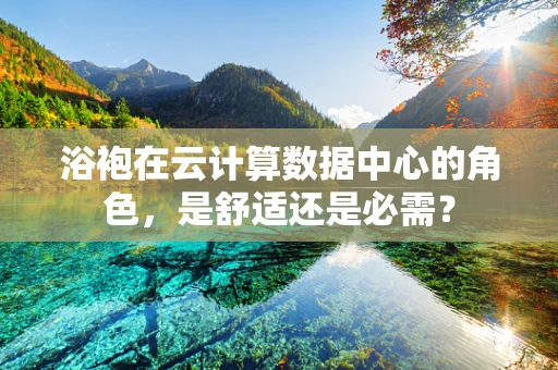 浴袍在云计算数据中心的角色，是舒适还是必需？