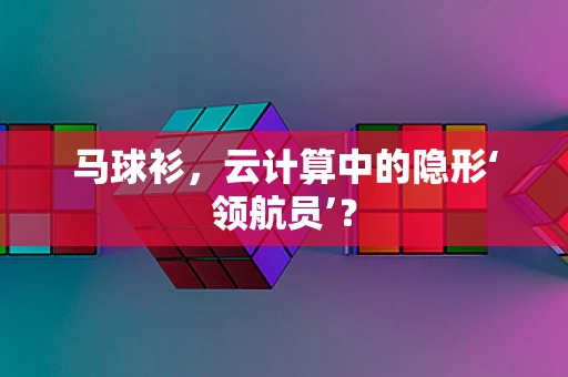 马球衫，云计算中的隐形‘领航员’？