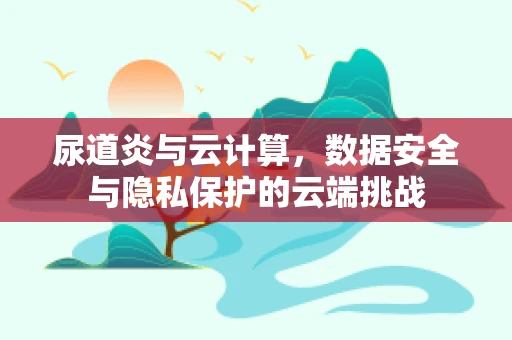 尿道炎与云计算，数据安全与隐私保护的云端挑战