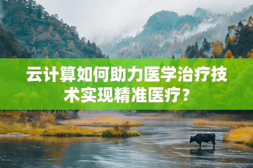 云计算如何助力医学治疗技术实现精准医疗？