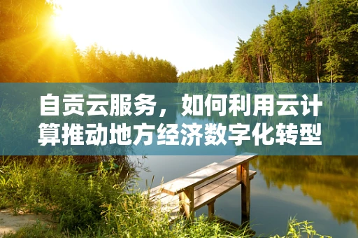 自贡云服务，如何利用云计算推动地方经济数字化转型？