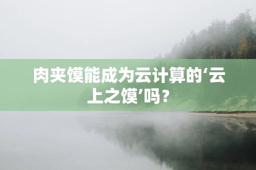 肉夹馍能成为云计算的‘云上之馍’吗？