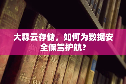 大蒜云存储，如何为数据安全保驾护航？