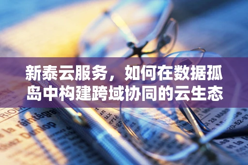 新泰云服务，如何在数据孤岛中构建跨域协同的云生态？