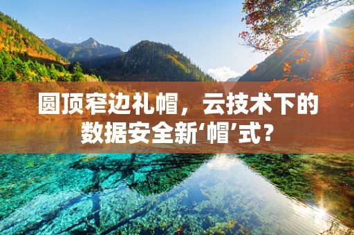 圆顶窄边礼帽，云技术下的数据安全新‘帽’式？