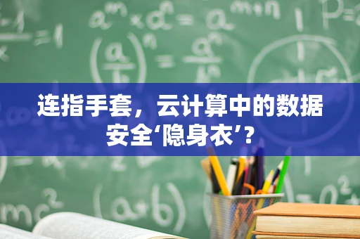 连指手套，云计算中的数据安全‘隐身衣’？