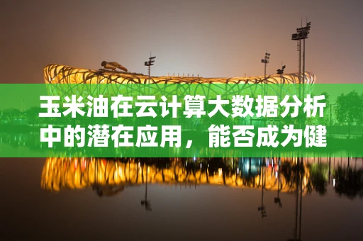 玉米油在云计算大数据分析中的潜在应用，能否成为健康与效率的双重保障？